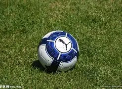 蔚来,财报揭晓,营收预测同,大发彩票,大发快三彩票官网,dafa大发彩票官网,大发彩票官网玩家首选