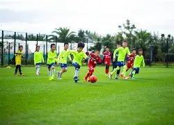 海塘彩讯,年第,期双色球独,大发彩票,大发快三彩票官网,dafa大发彩票官网,大发彩票官网玩家首选