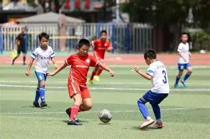 海塘彩讯,年第,期双色球独,大发彩票,大发快三彩票官网,dafa大发彩票官网,大发彩票官网玩家首选