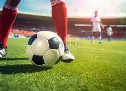 揭秘,白薇双色球,独家精准杀,大发彩票,大发快三彩票官网,dafa大发彩票官网,大发彩票官网玩家首选