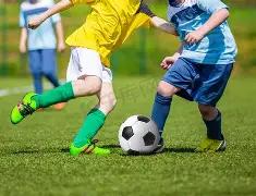 双色球预测,大揭秘,期揭晓,大发彩票,大发快三彩票官网,dafa大发彩票官网,大发彩票官网玩家首选