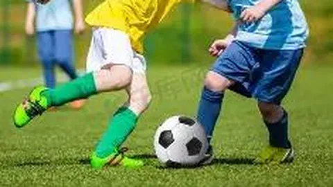 【双色球预测大揭秘】2026011期揭晓：龙头凤尾双星闪耀，11号、19号必看攻略！