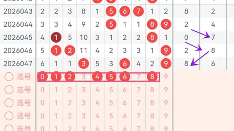 第2026024期 双色球2026024期专家质合分析推荐精