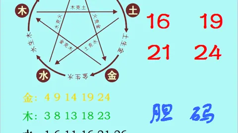 阿勇双色球26年021期红球推荐：5胆码06 20 25 2